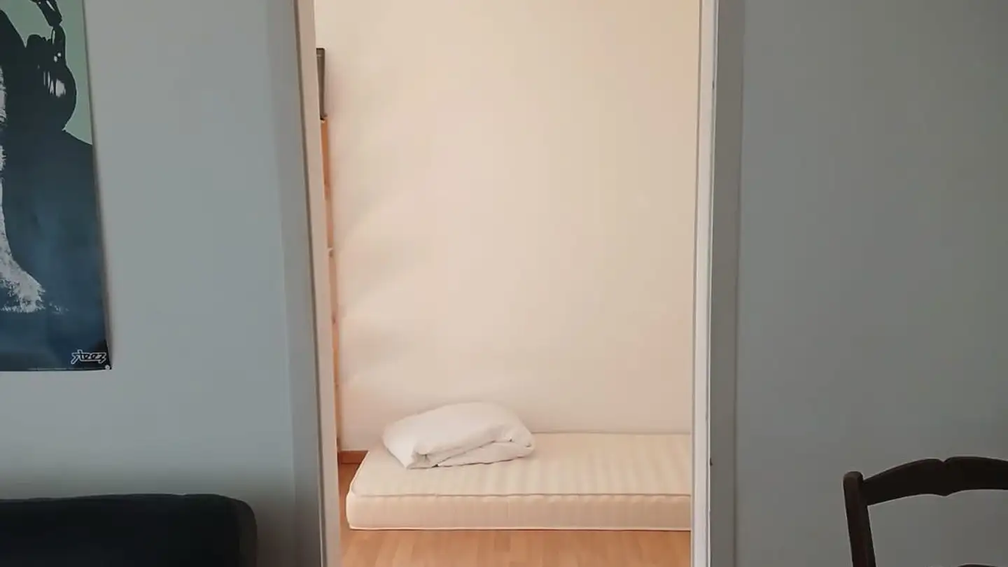 Chambre à louer - Üetlibergstrasse 176, 8045 Zürich - Photo 2