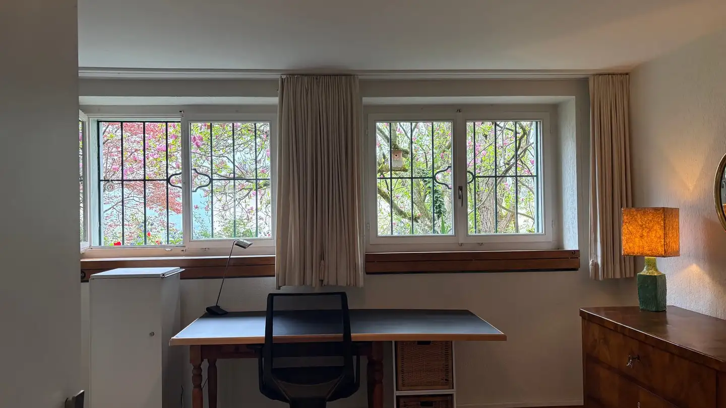 Studio mieten - Freudenbergstrasse, 8044 Zürich - Foto 3