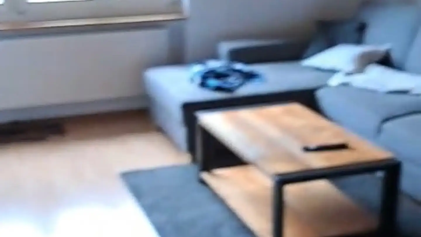 Appartement à louer - Buckstrasse 2, 8468 Guntalingen