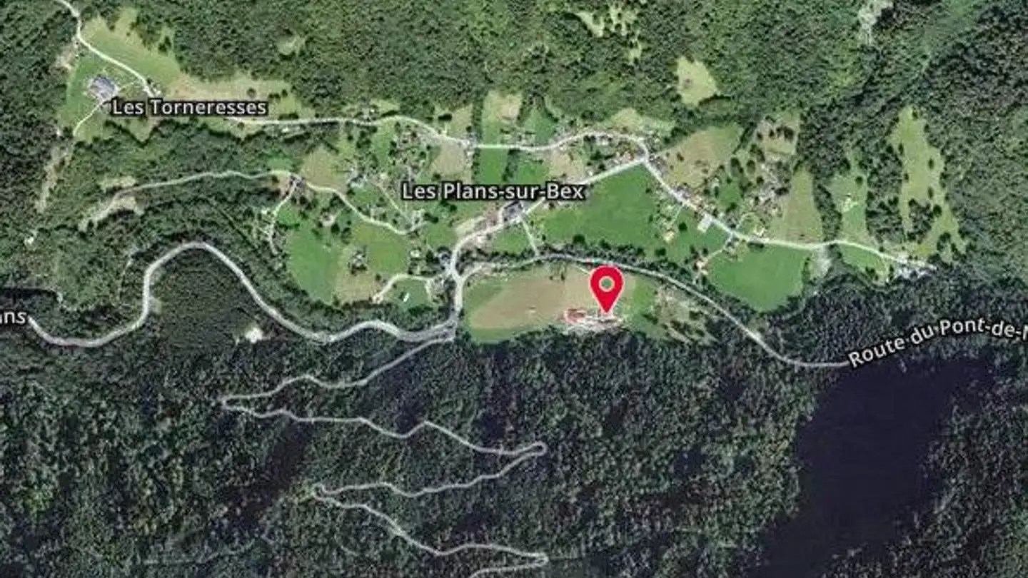 Farm for sale - Route Du Pont-De-Nant, 1880 Les Plans-sur-Bex - Photo 4