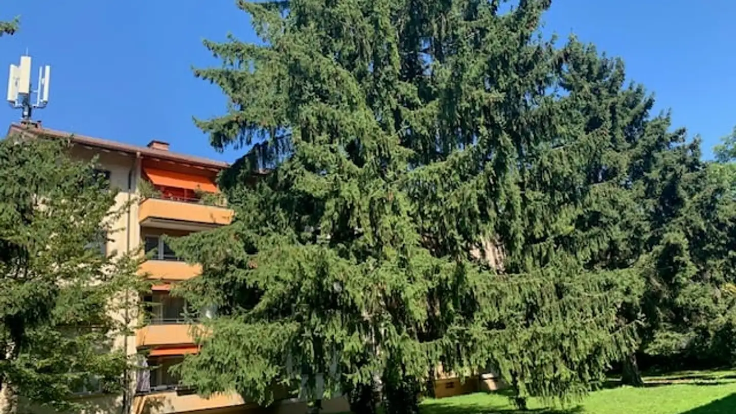 Appartement à louer - Lenggenbachstrasse 17, 8951 Fahrweid - Photo 4