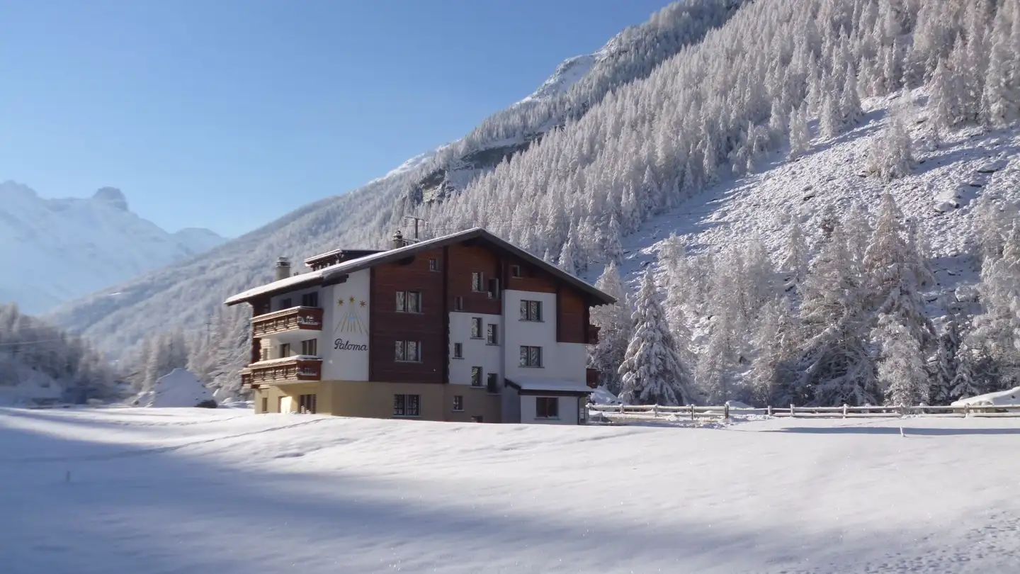 Appartement à vendre - Alter Talweg 1, 3908 Saas-Balen