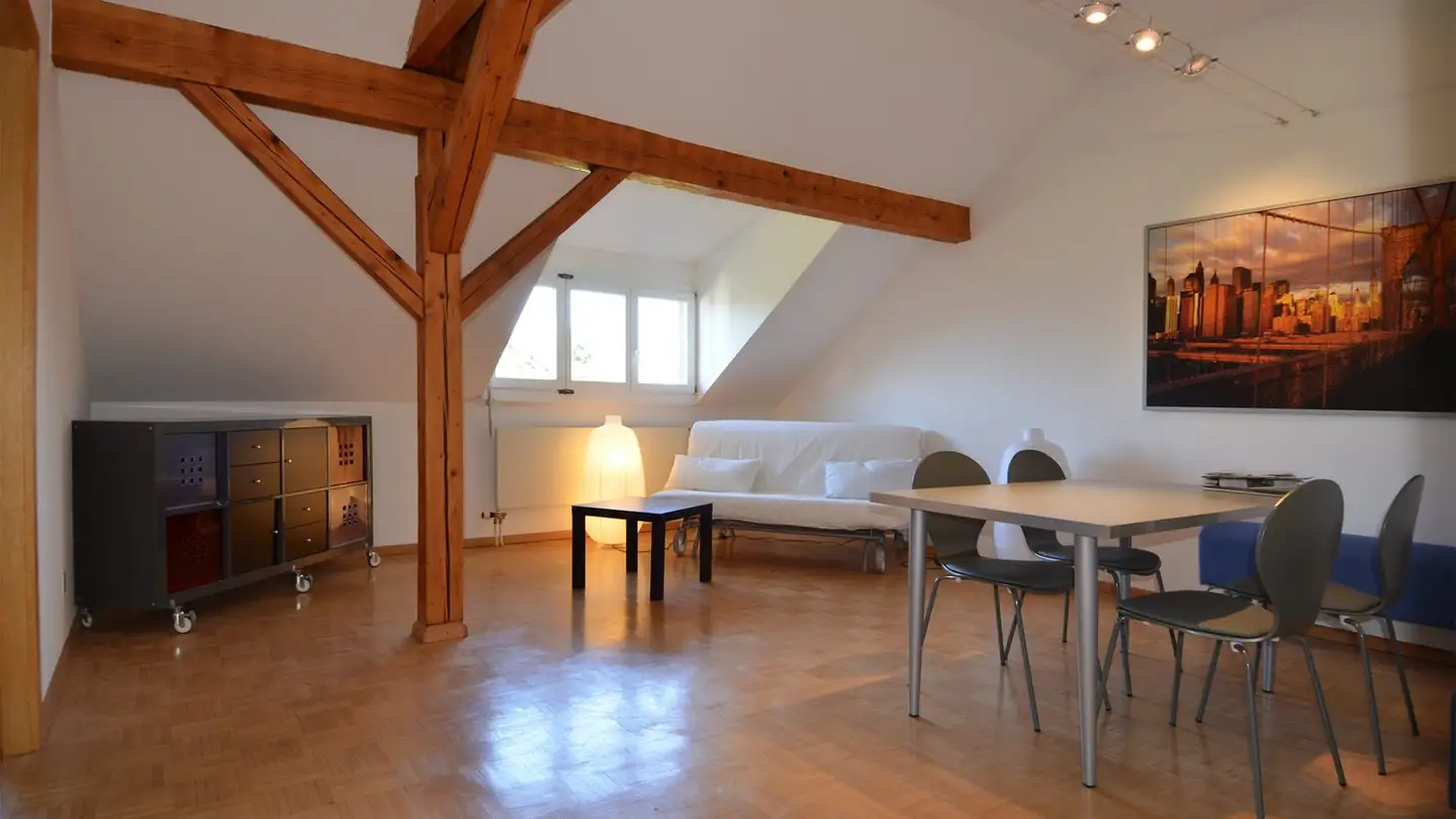 Attico in affitto - Wiesenschanzweg 30, 4057 Basel