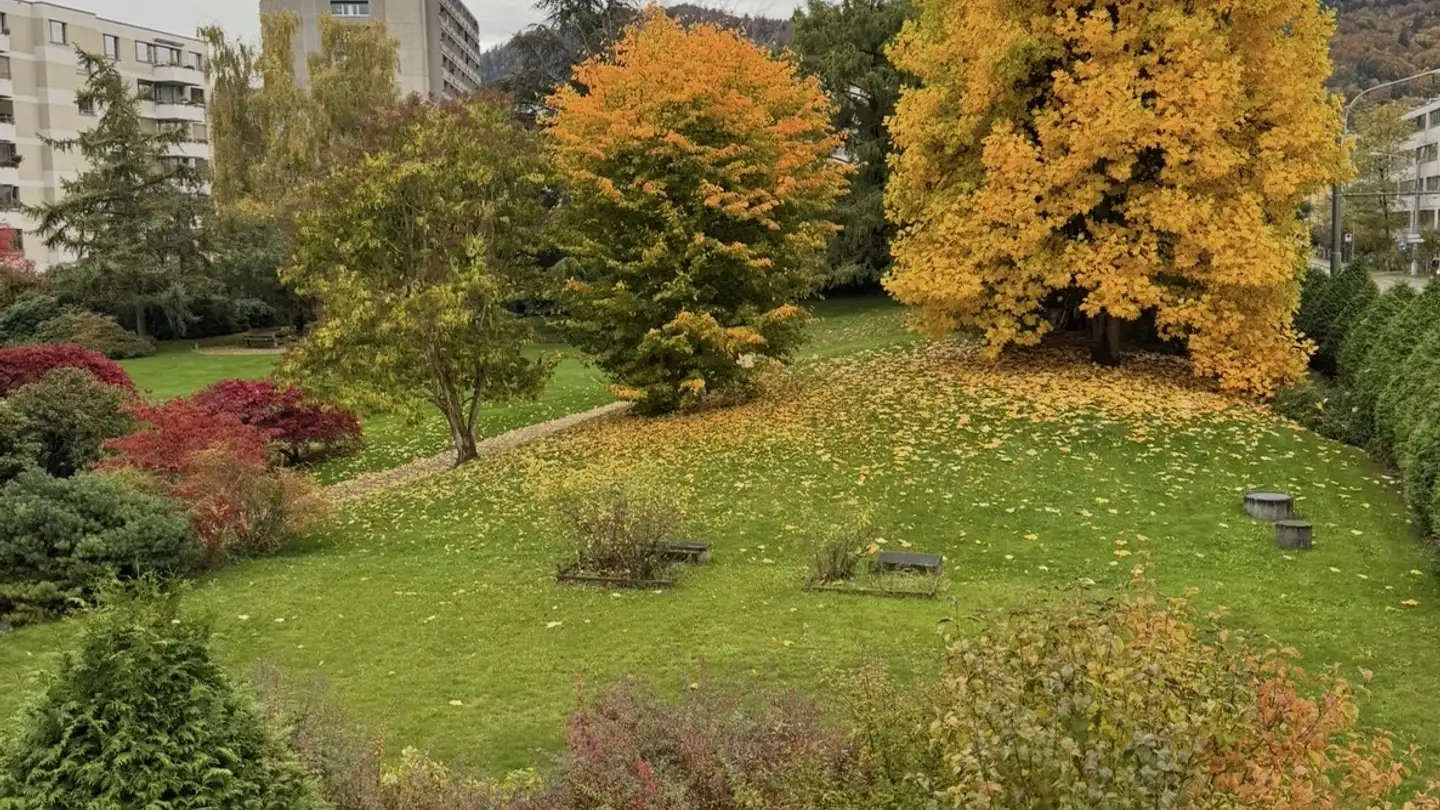 Chambre à louer - 8047 Zürich - Photo 3