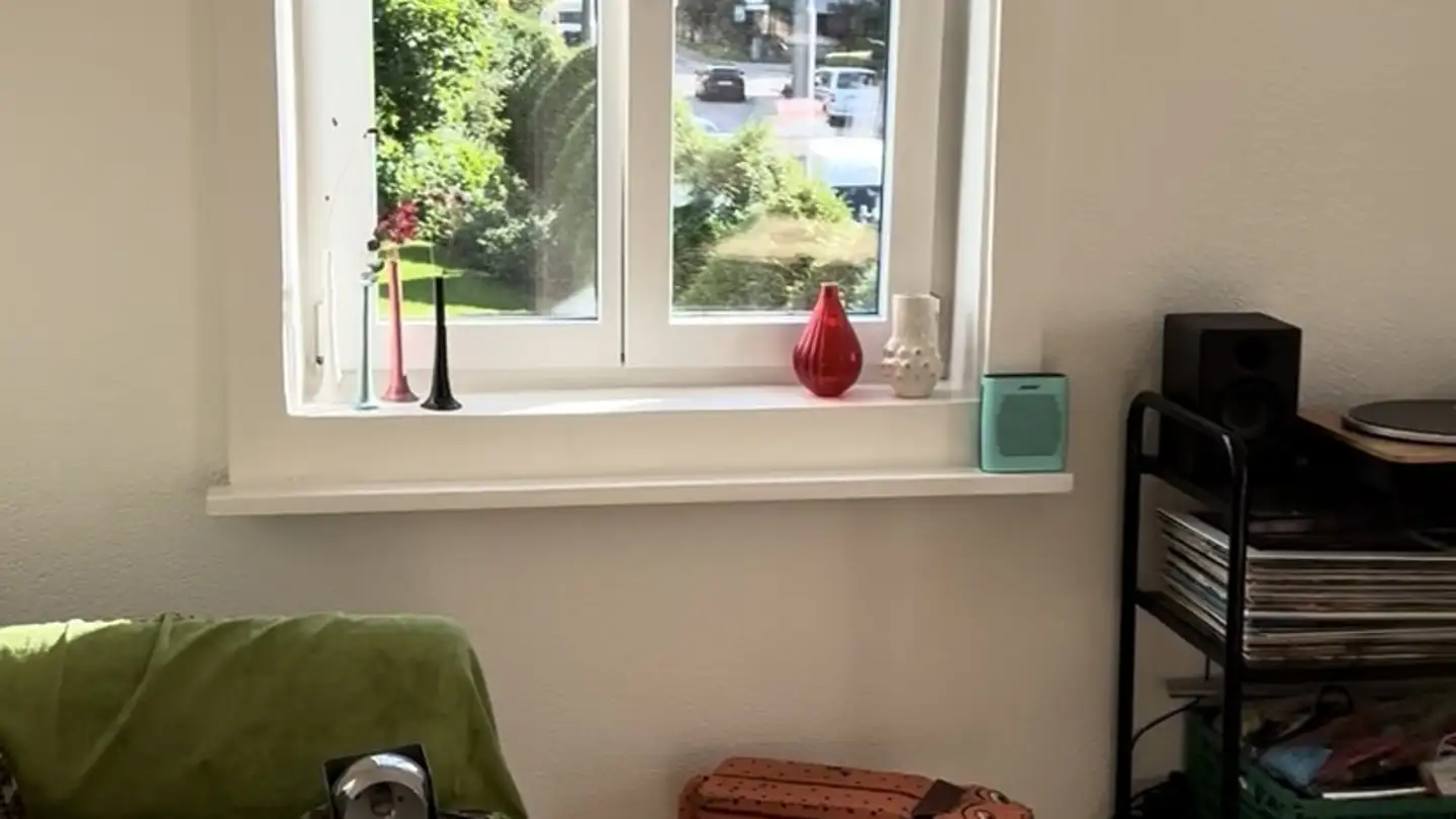 Chambre à louer - 8047 Zürich - Photo 2