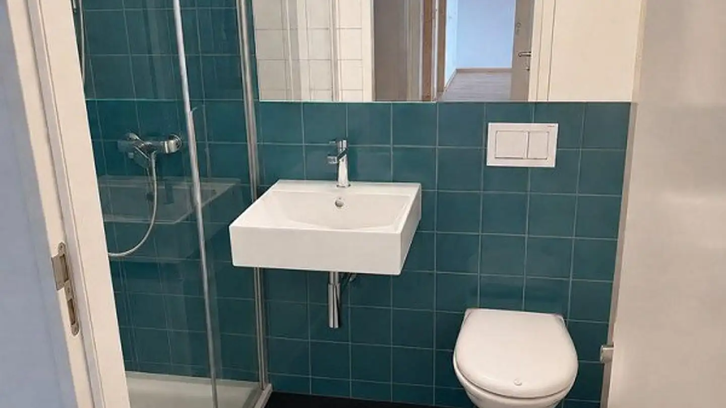 Apartment for rent - Alte Urdorferstrasse 12, 8903 Birmensdorf ZH - Photo 4
