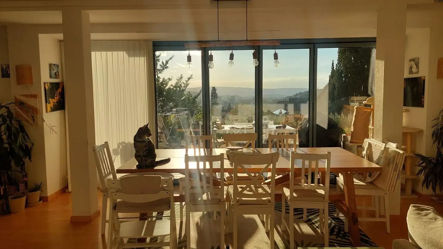 Appartement à louer - Hadlaubstrasse 135, 8006 Zürich