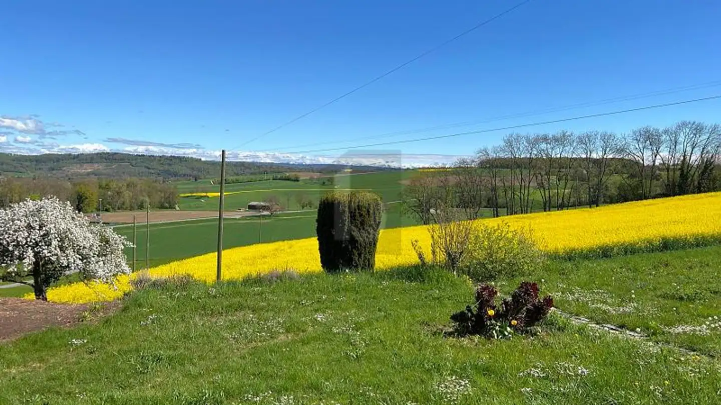 Single house for rent - 1315 La Sarraz - Photo 2