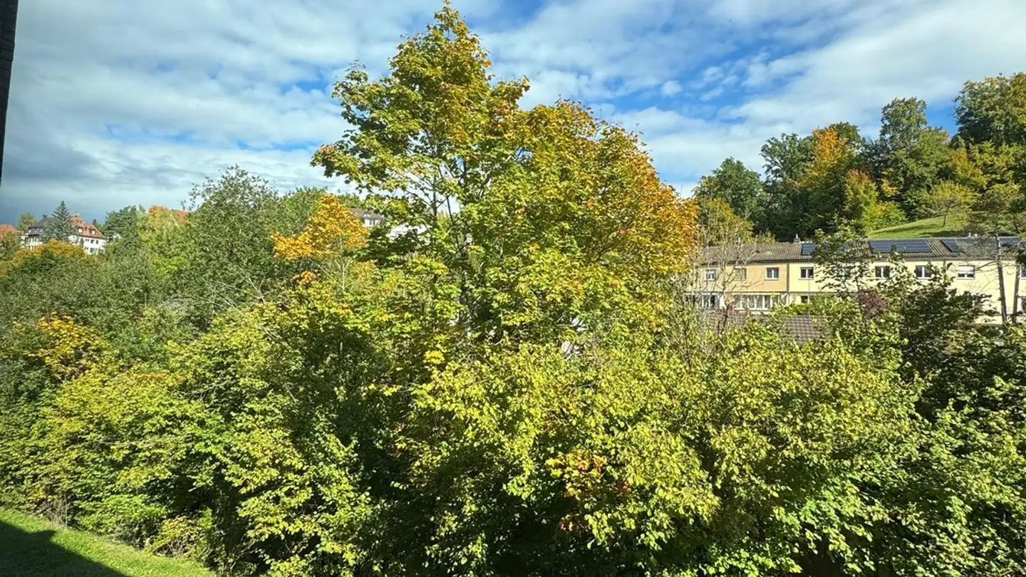 Appartamento in affitto - Forchstrasse 273, 8008 Zürich - Foto 3