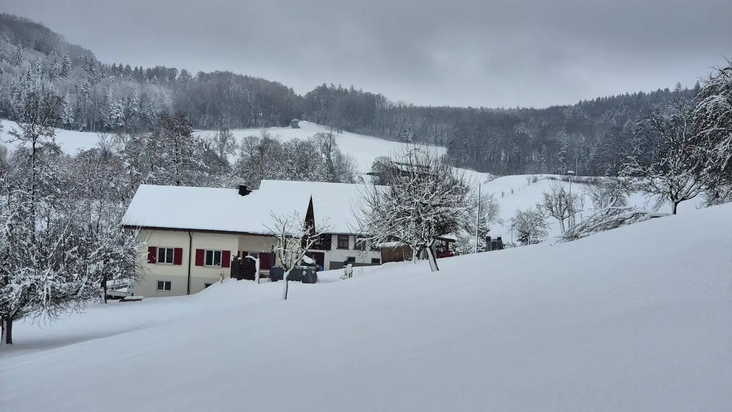 Single house for rent - 5732 Zetzwil - Photo 2