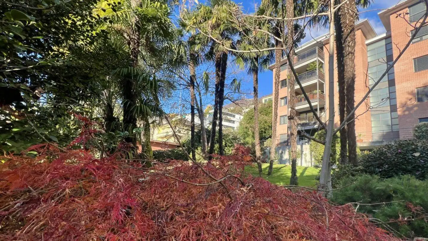 Appartamento in affitto - Via Sempione 4, 6600 Muralto