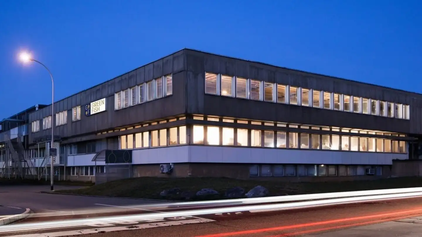 Industrieimmobilie mieten - Industriestrasse 25, 9430 St. Margrethen SG