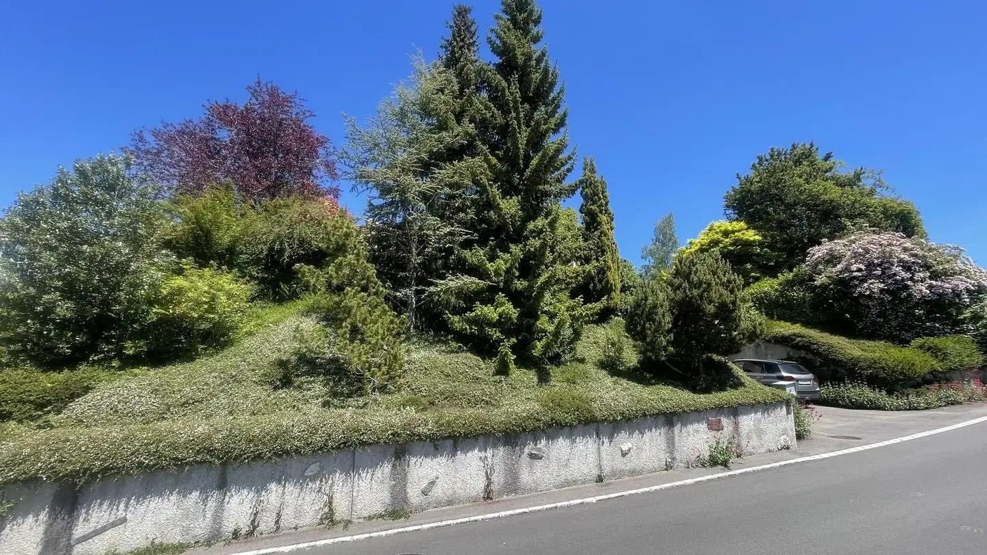 Maison individuelle à vendre - Glärnischstrasse 34, 8344 Bäretswil - Photo 4