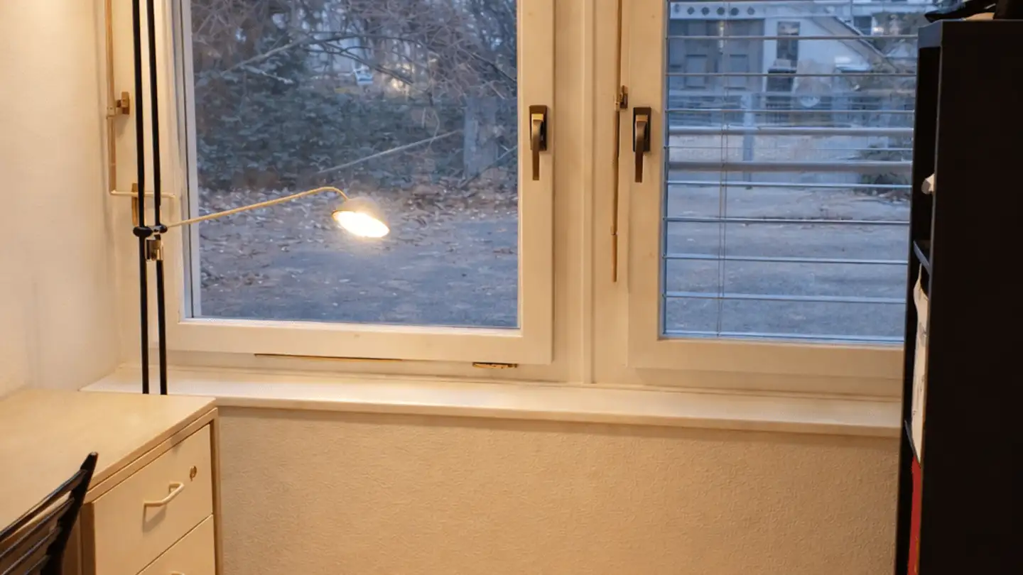 Möblierte Wohnung mieten - Friedaustrasse 4, 8003 Zürich - Foto 2