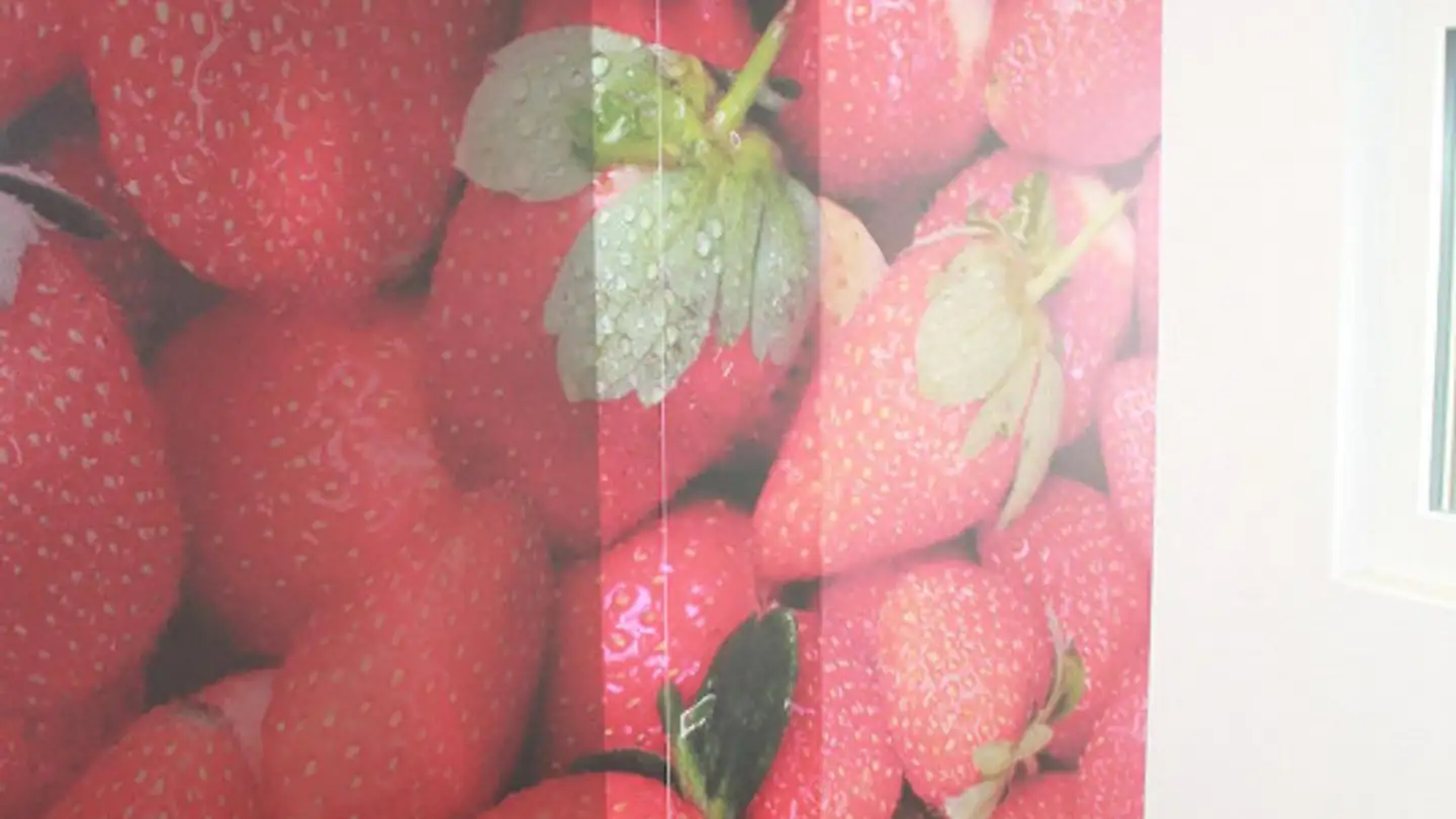 Appartamento in affitto - Schützenstrasse 38, 8280 Kreuzlingen - Foto 3