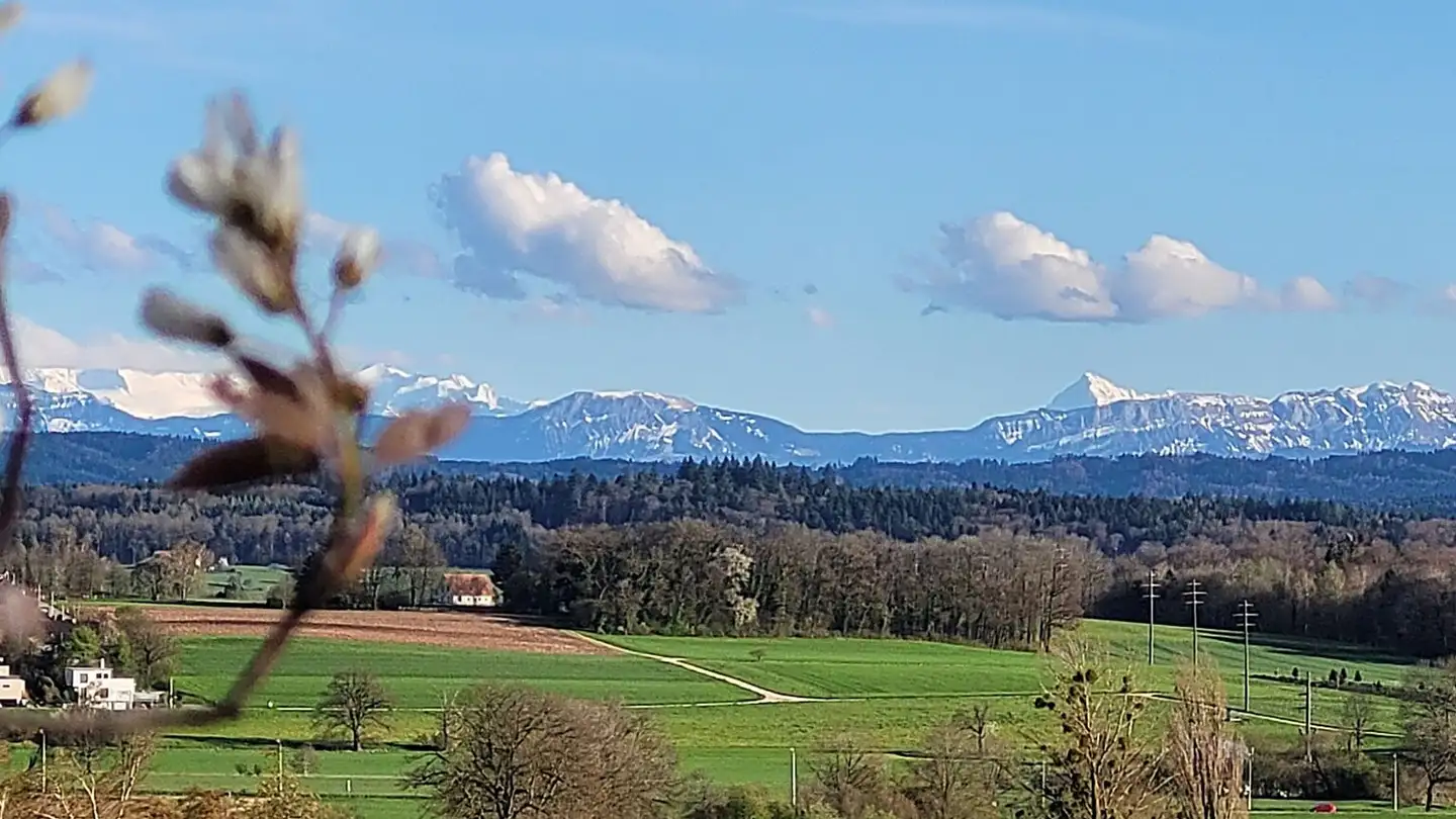 Maison individuelle à vendre - Lehenweg, 4614 Hägendorf - Photo 2