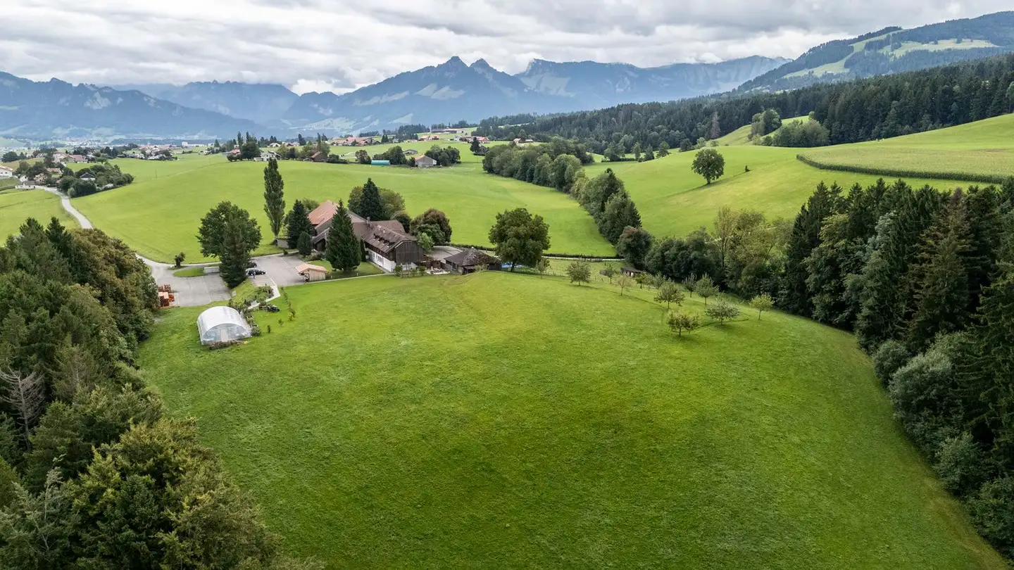 Hotel in vendita - 1628 Vuadens - Photo 3