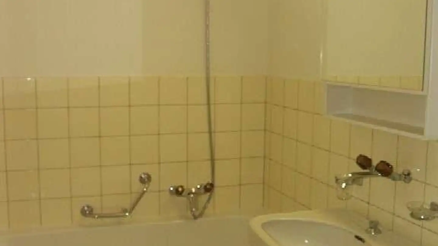 Appartamento in affitto - Schlierenstrasse 58, 8902 Urdorf - Photo 3