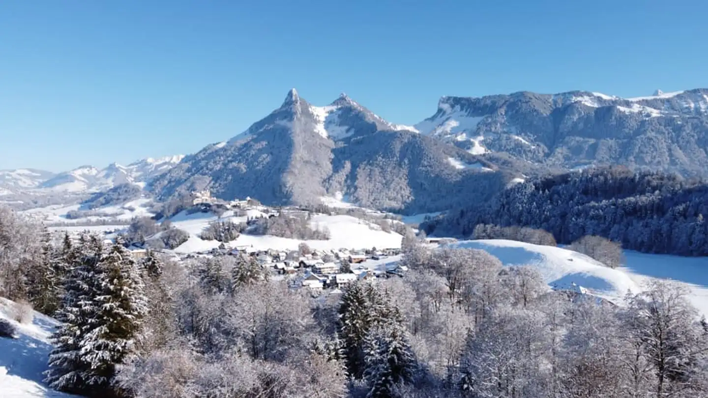 Casa singola in affitto - Chemin Des Gentianes 36, 1663 Pringy - Foto 3