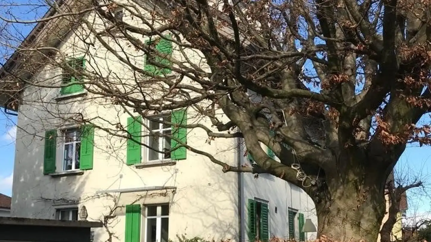 Appartement à louer - 8580 Amriswil