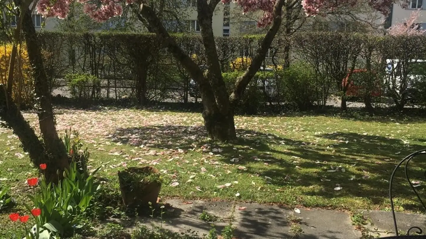 Appartement à louer - 8052 Zürich - Photo 3