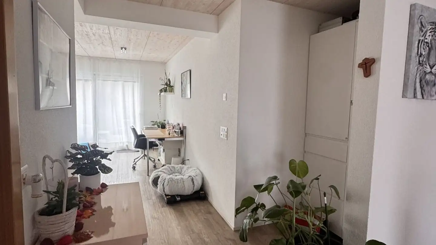 Appartamento in affitto - Im Hermet 12, 9327 Tübach - Foto 3