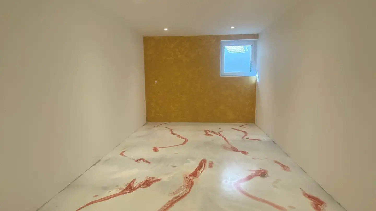 Sala hobby in affitto - Schrägweg 19, 5727 Oberkulm - Photo 3