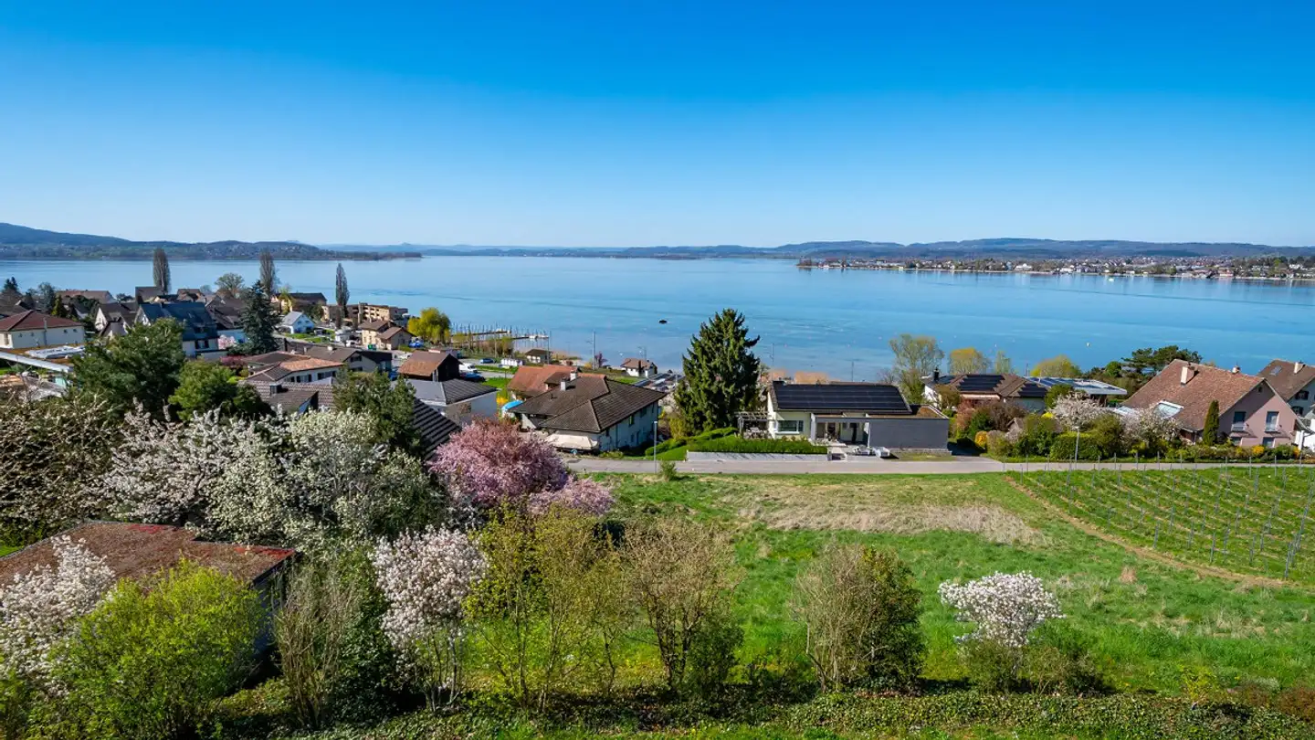 Einfamilienhaus kaufen - Arenenbergstrasse 22, 8268 Salenstein - Foto 2