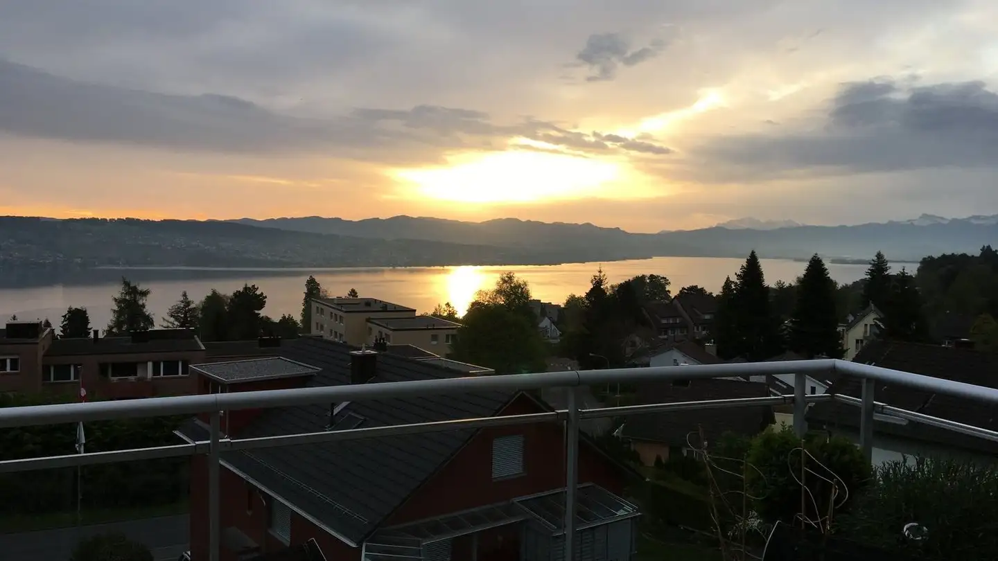 Appartamento in affitto - 8820 Wädenswil