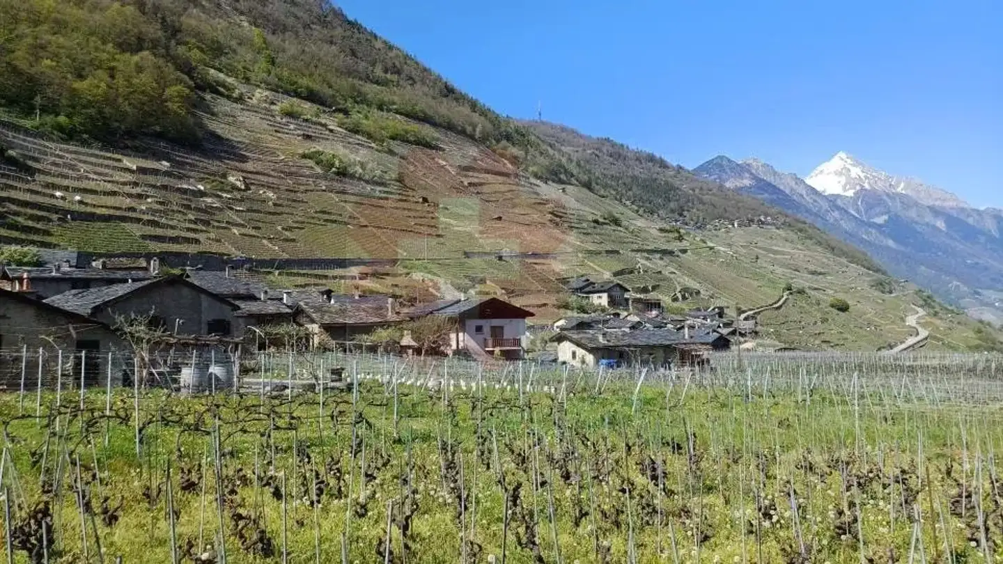 Casa singola in vendita - Plan Cerisier, 1921 Martigny-Croix - Photo 4