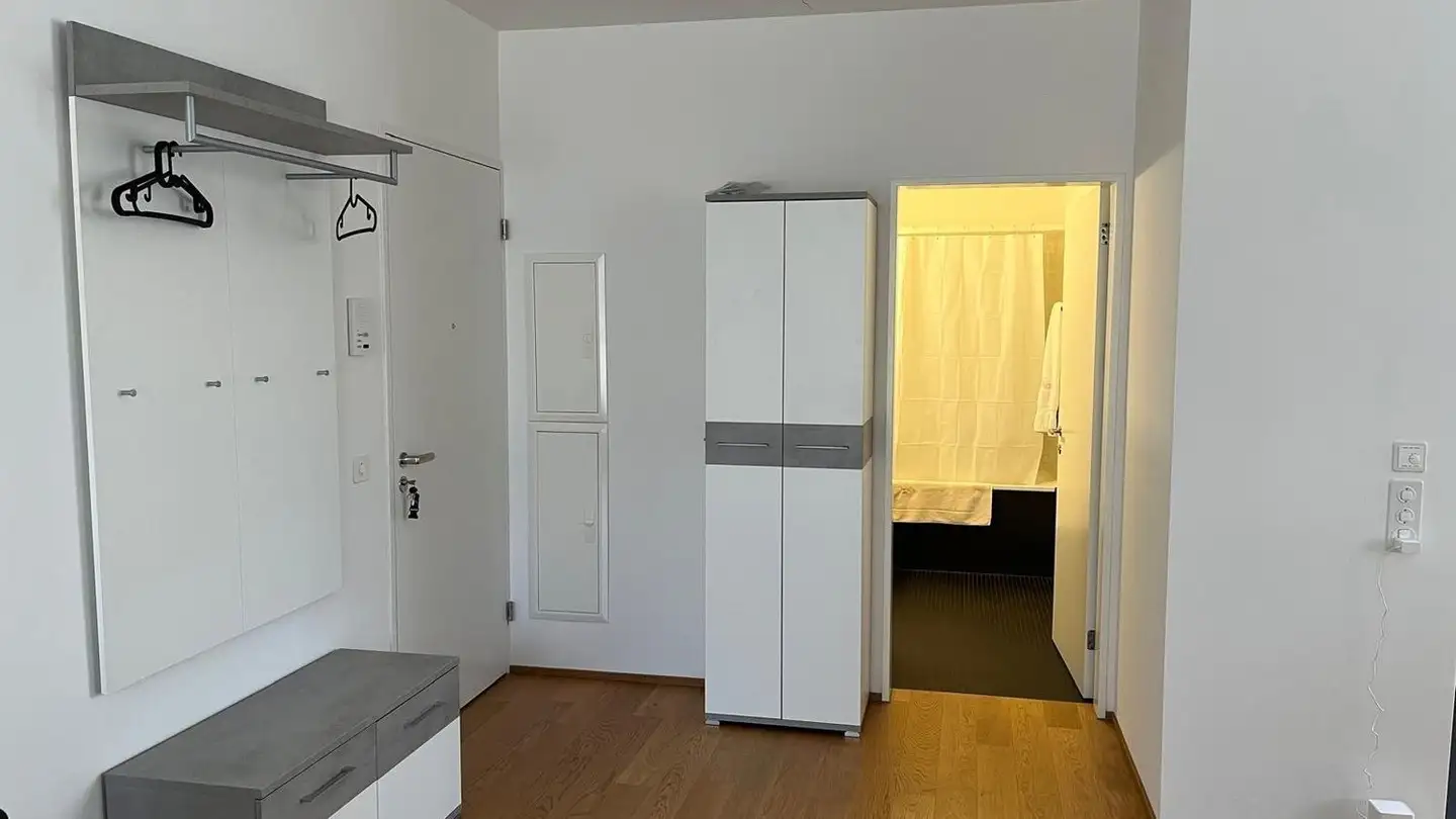 Appartamento in affitto - 8051 Zürich - Foto 4