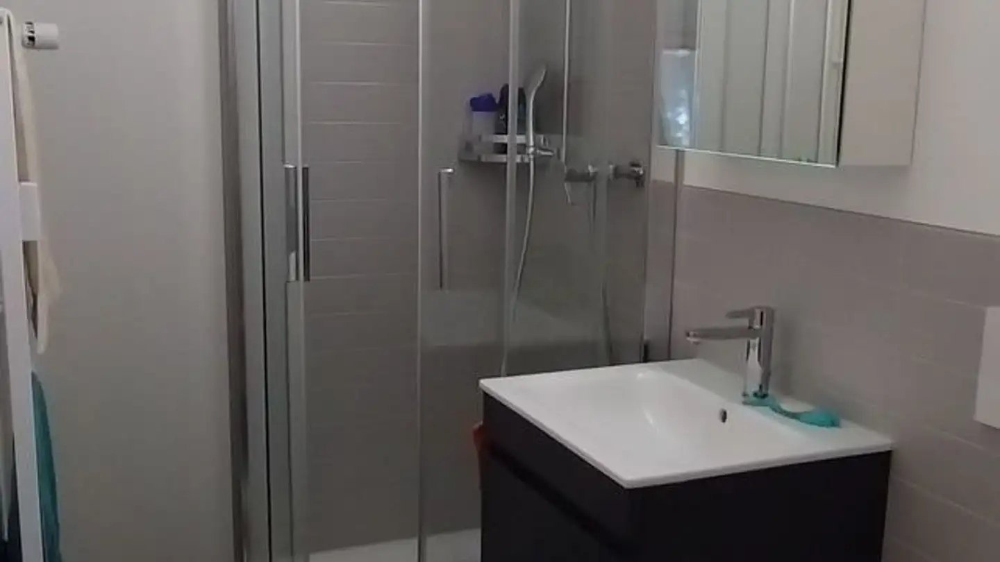 Apartment for rent - 8800 Thalwil - Photo 4