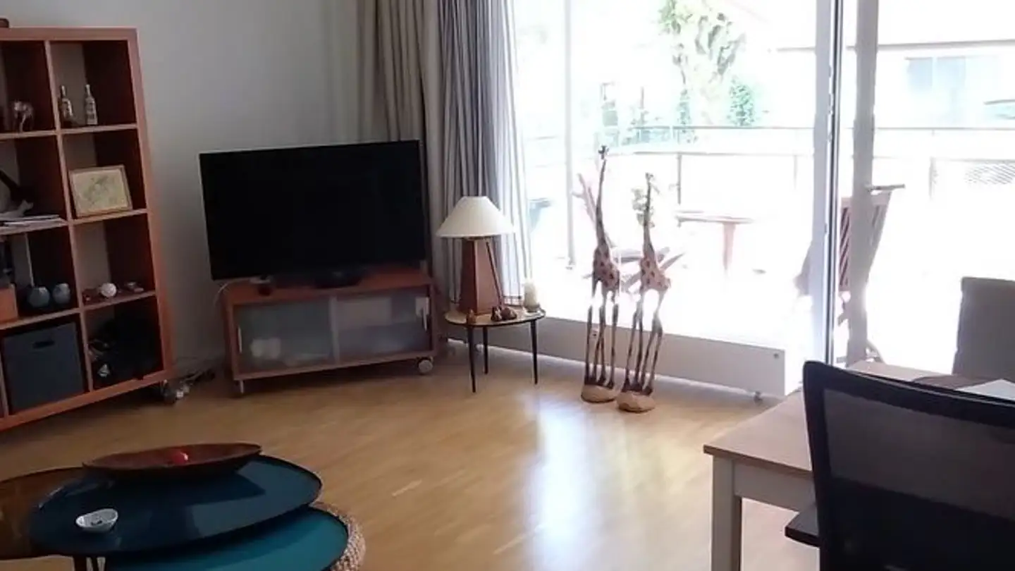 Apartment for rent - 8800 Thalwil
