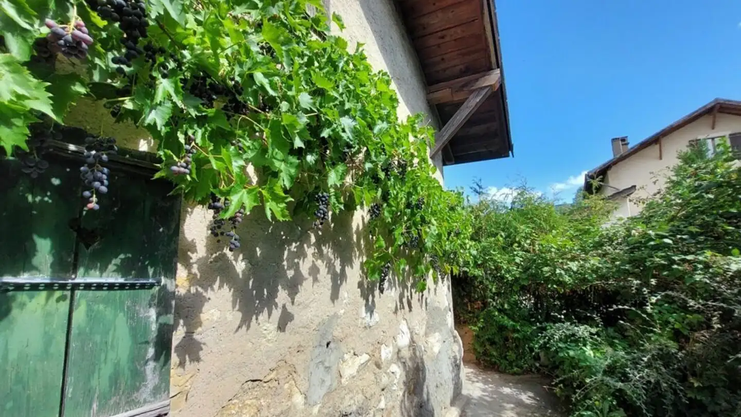 Fattoria in vendita - 2046 Fontaines NE - Photo 4