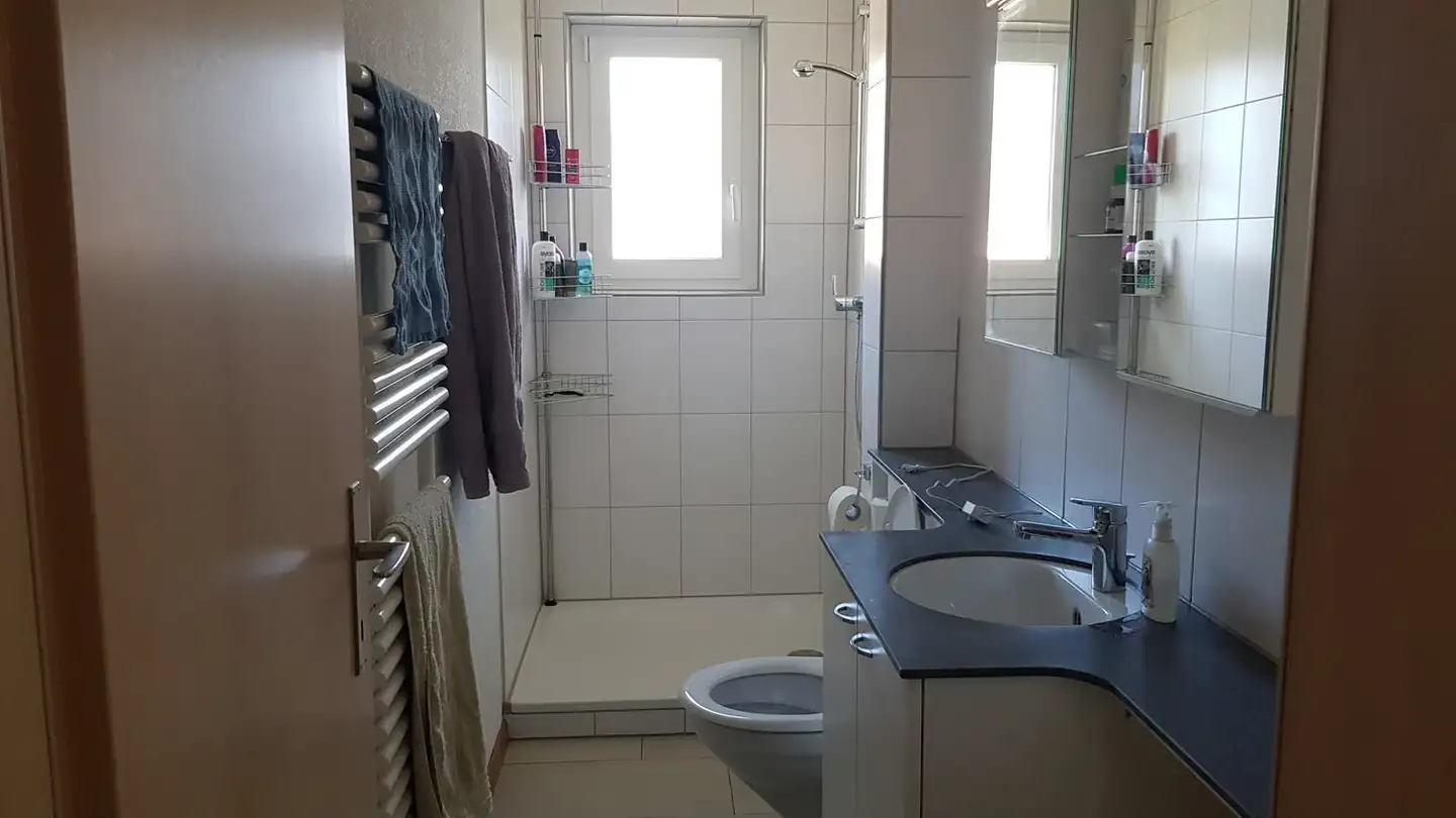 Apartment for rent - Langwiesenstrasse 18, 8408 Winterthur - Photo 4