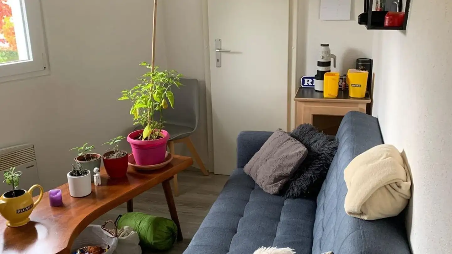 Appartement à louer - Route De Gilly 3, 1180 Rolle