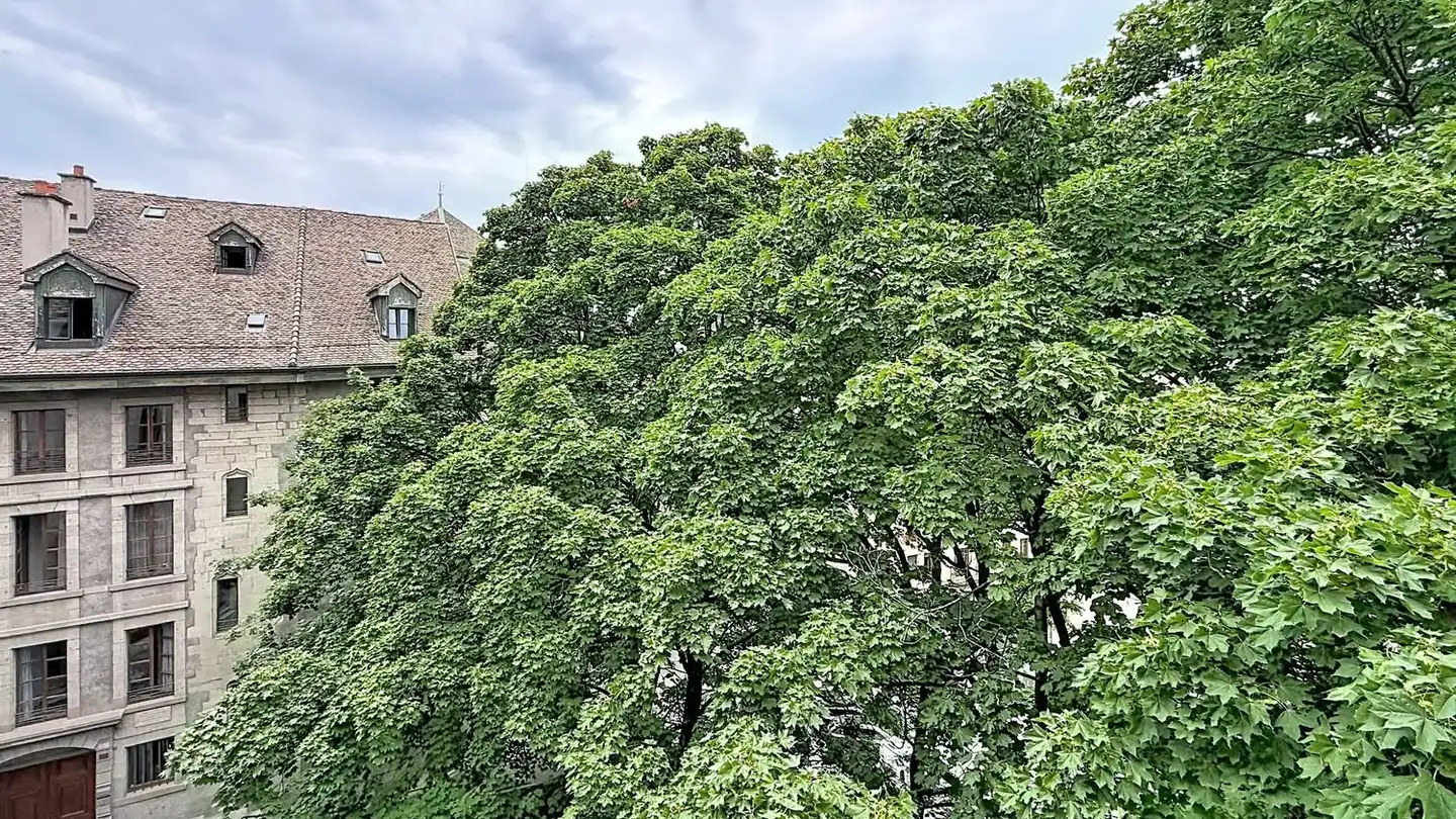 Appartement à louer - Rue Jean- Calvin 4, 1204 Genève - Photo 2