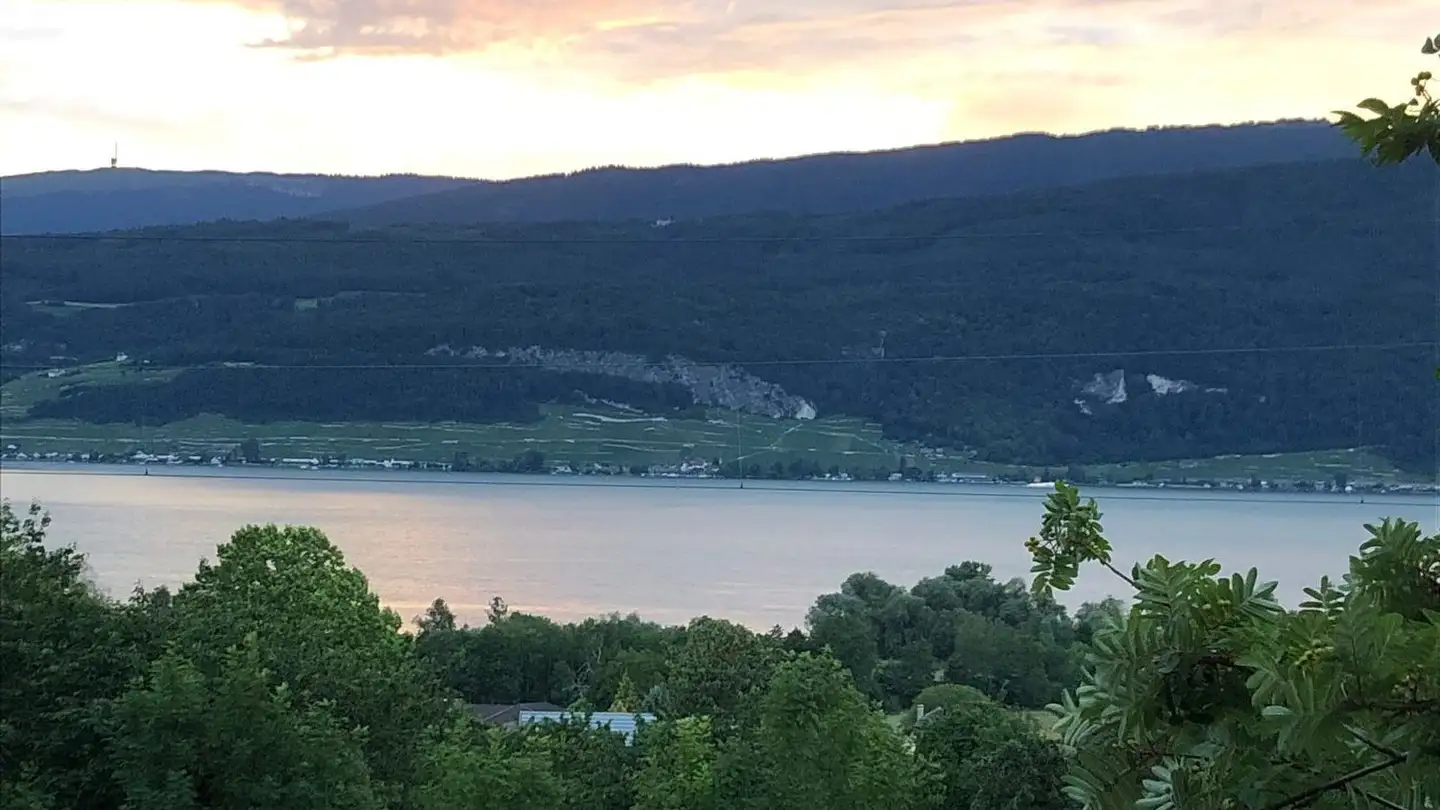 Wohnung mieten - Schulstrasse 31, 2572 Mörigen - Foto 2