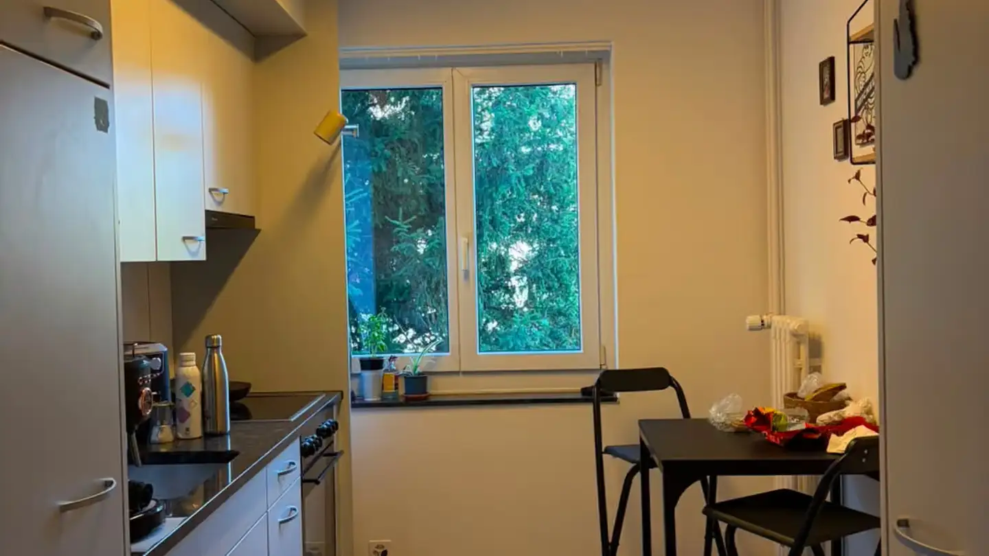 Apartment for rent - Küngenmatt 29, 8055 Zürich - Photo 2