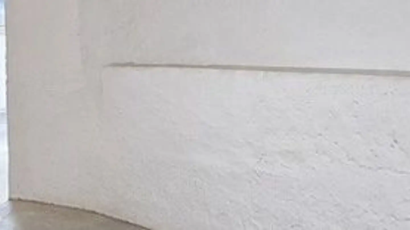 Commercial for rent - Rinkenbach 12, 9050 Appenzell - Photo 4