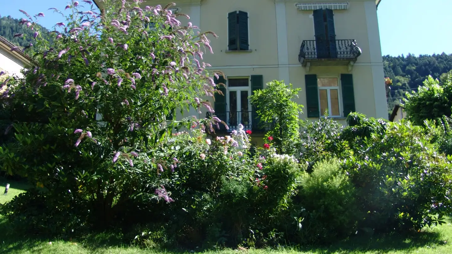 Appartamento in affitto - 6760 Faido