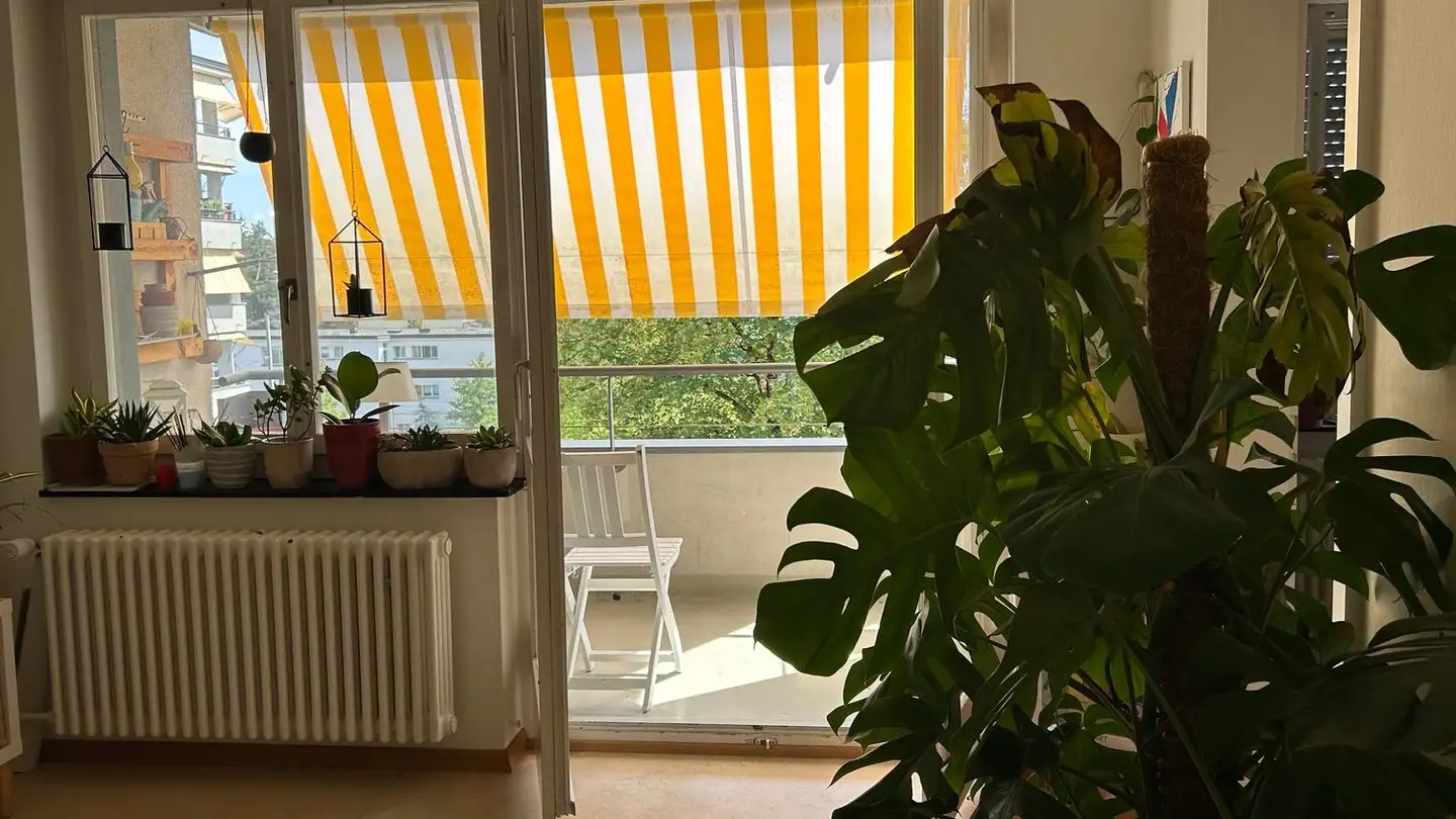 Chambre à louer - Hohlstrasse, 8048 Zürich