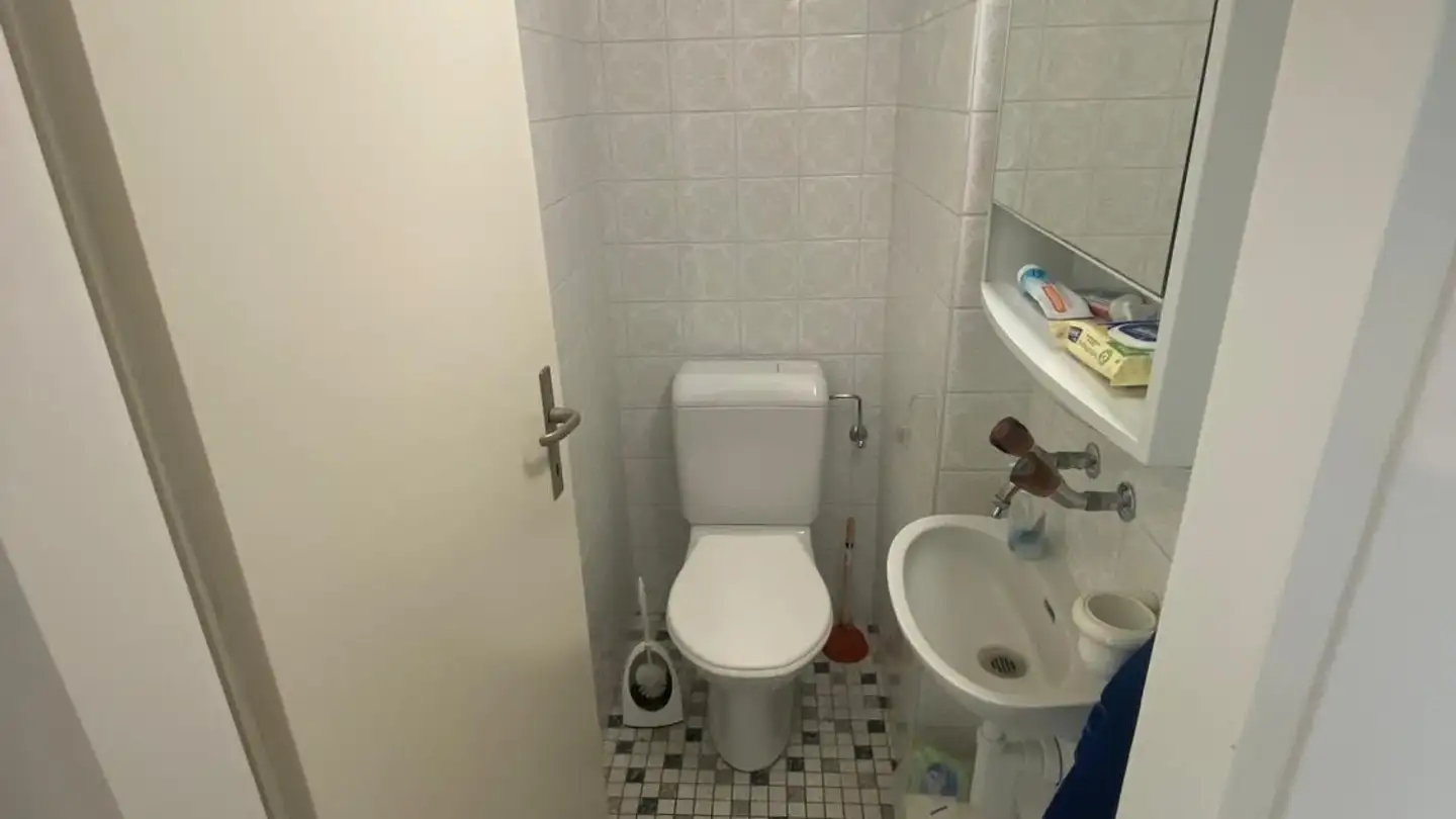 Single room for rent - Sonnenbergstrasse 30, 8102 Oberengstringen - Photo 4