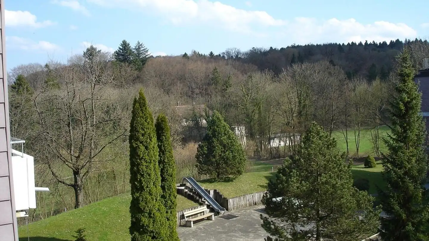Appartement à louer - Baltenschwilerstrasse 7, 8962 Bergdietikon - Photo 2