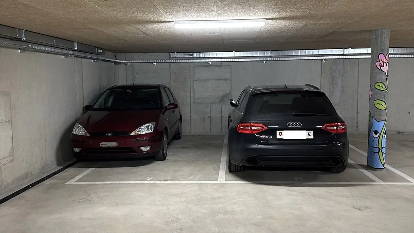 Garage singolo in affitto - Dübendorfstrasse 311, 8051 Zürich