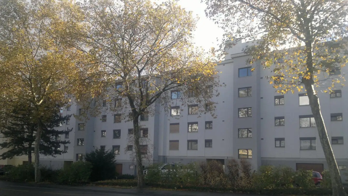 Appartamento in affitto - Badenerstrasse 103, 8952 Schlieren