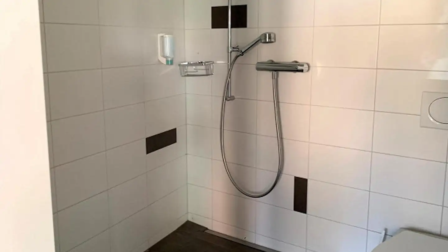 Appartamento in affitto - Unterdorfstrasse 29, 4143 Dornach - Foto 4