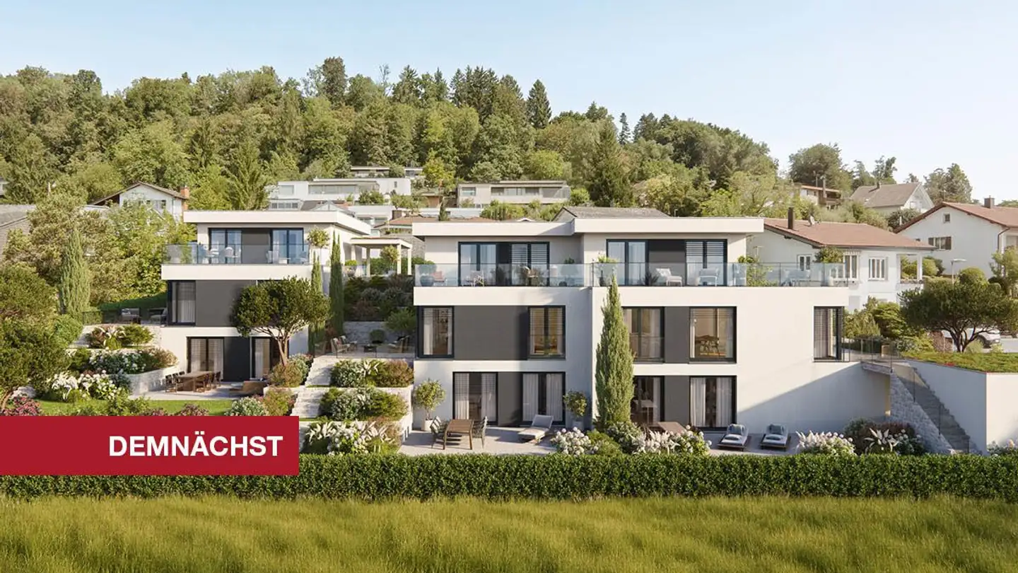 Einfamilienhaus kaufen - Haldenstrasse 9, 8967 Widen