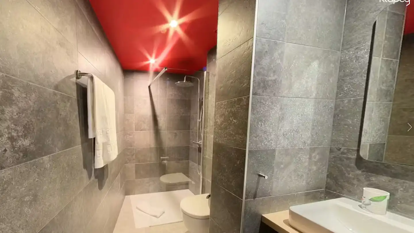 Appartement à louer - Rue de Lausanne, 1202 Genève - Photo 4