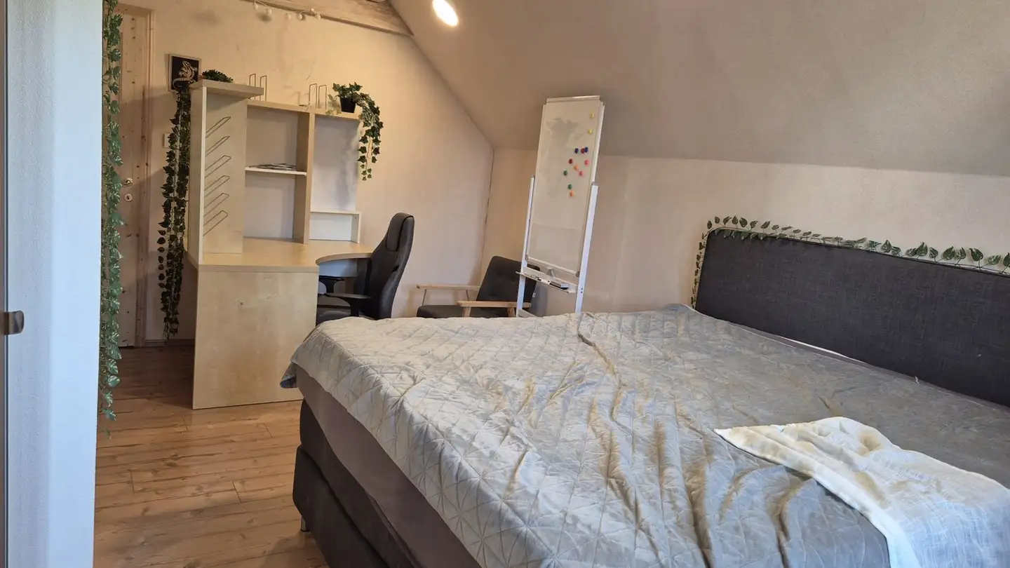 Single room for rent - 9325 Roggwil TG - Photo 4